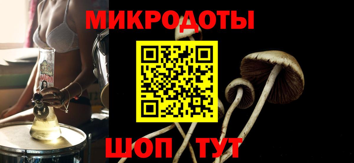Галлюциногенные грибы мицелий Коломна